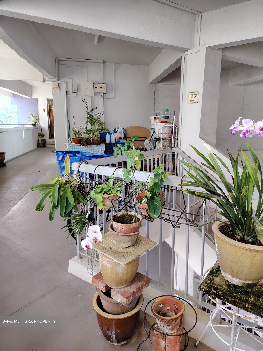Blk 14 Saint George's Road (Kallang/Whampoa), HDB 3 Rooms #548571021